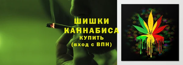 стафф Зеленодольск