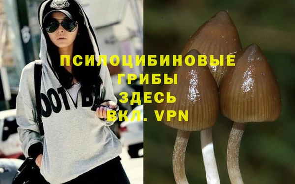 марки nbome Инта