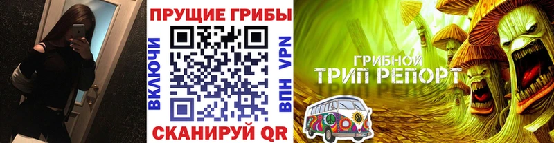 Купить закладки  Барыш  Псилоцибиновые грибы прущие грибы 